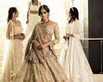 Designer Saree Collection - Modern Drape
