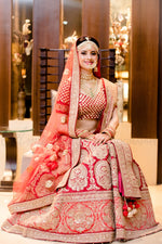 Designer Saree Collection - Modern Drape